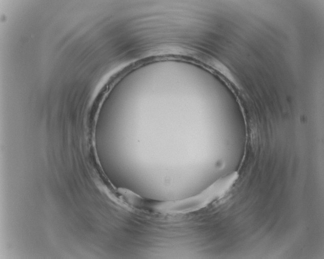 X0000073921116200609082231