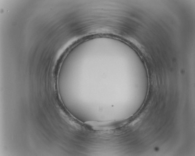 X0000073921118200609082231