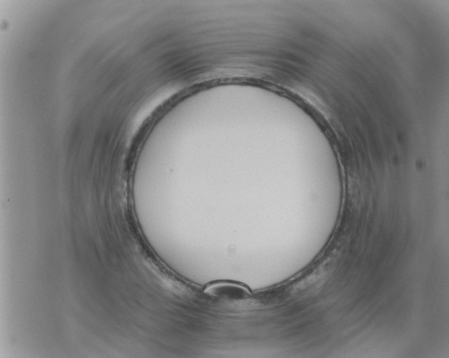 X0000073921119200609082231