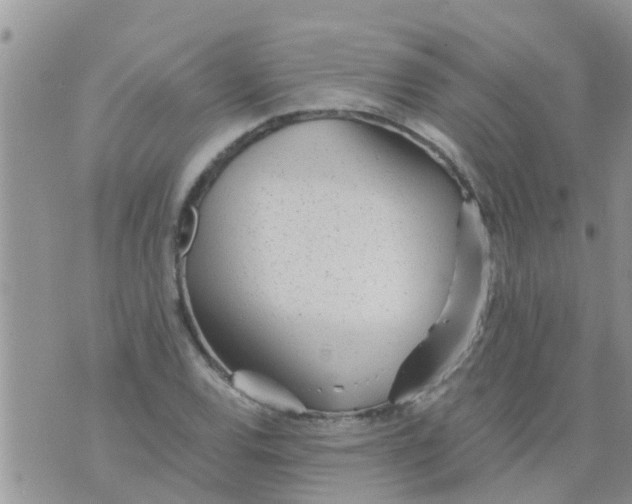 X0000073921120200609082231