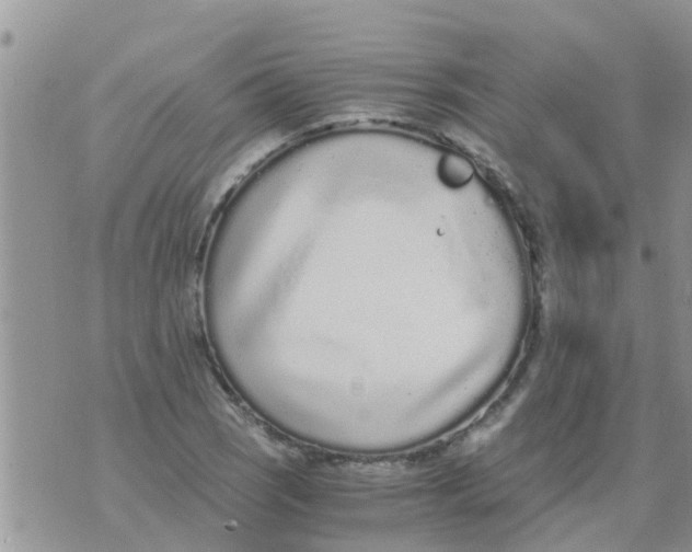 X0000073921121200609082231