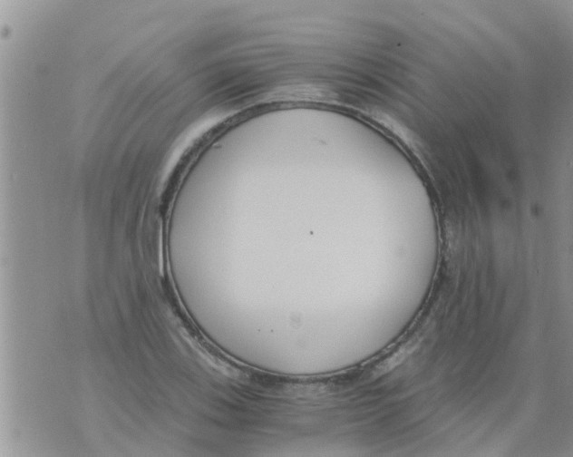 X0000073921123200609082231