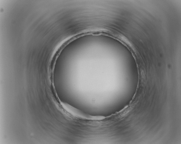 X0000073921124200609082231