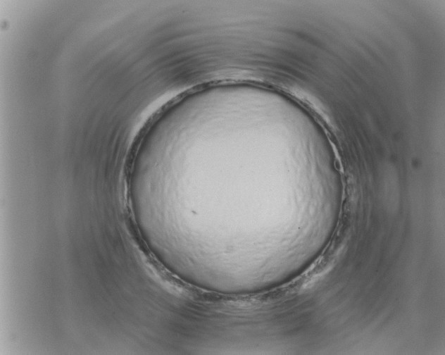 X0000073921125200609082231