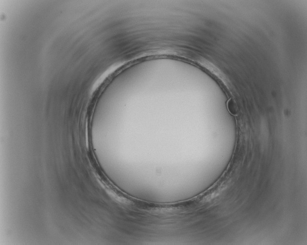 X0000073921127200609082231