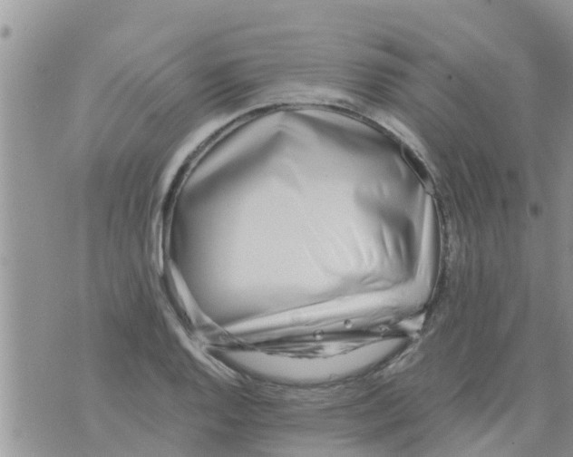 X0000073921128200609082231