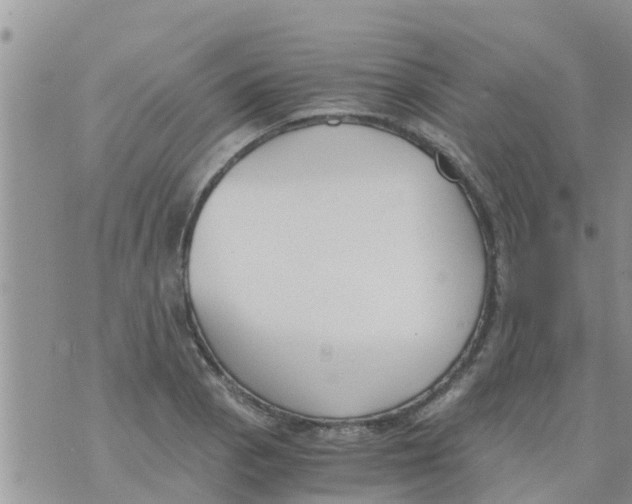 X0000073921129200609082231