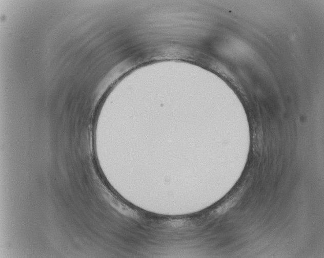 X0000073921130200609082231