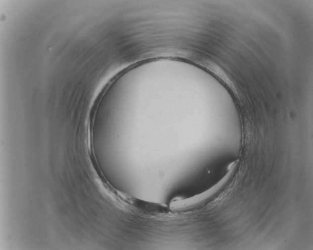 X0000073921132200609082231