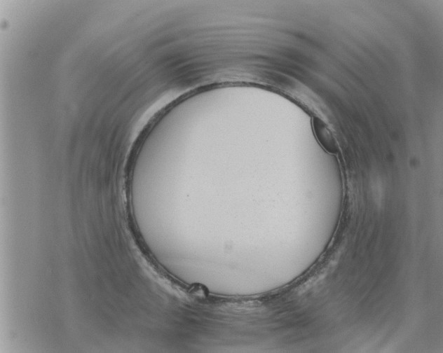 X0000073921133200609082231