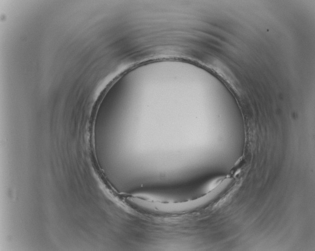 X0000073921134200609082231