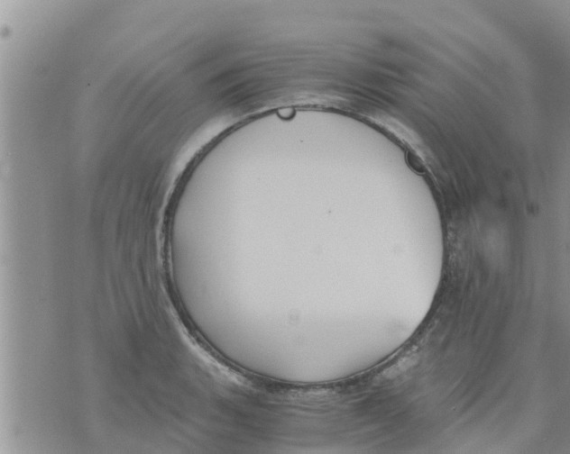 X0000073921135200609082231