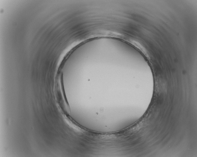 X0000073921136200609082231