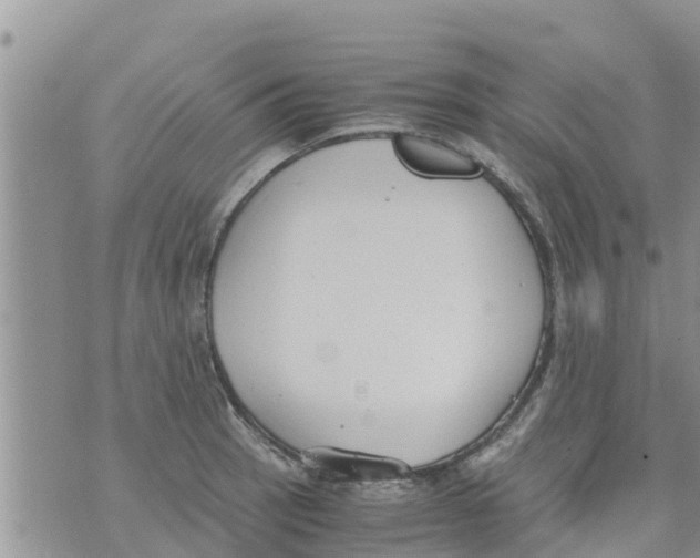 X0000073921137200609082231