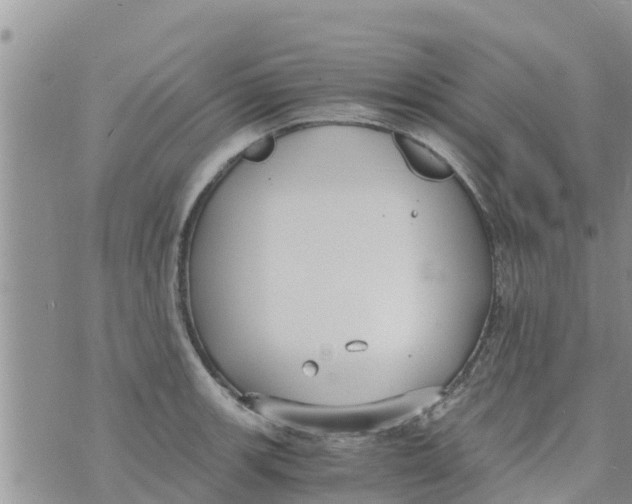 X0000073921139200609082231