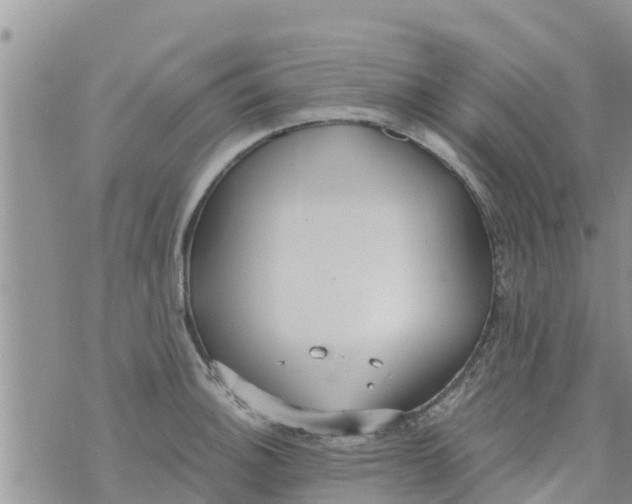 X0000073921140200609082231