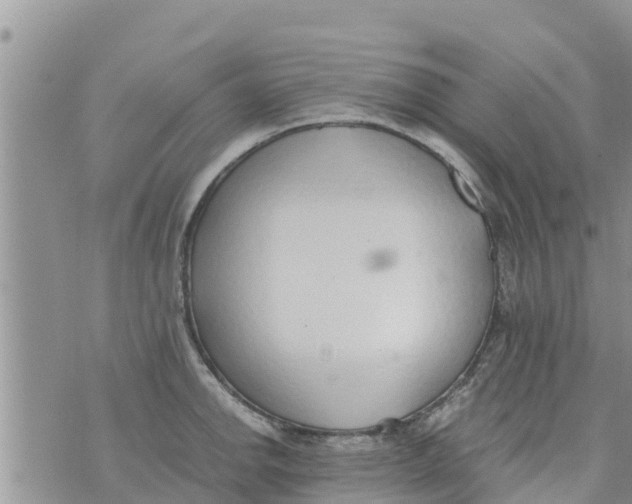 X0000073921142200609082231