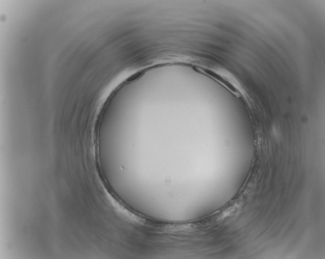 X0000073921143200609082231