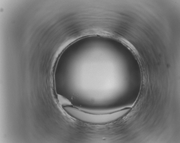 X0000073921144200609082231