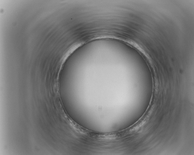 X0000073921145200609082231