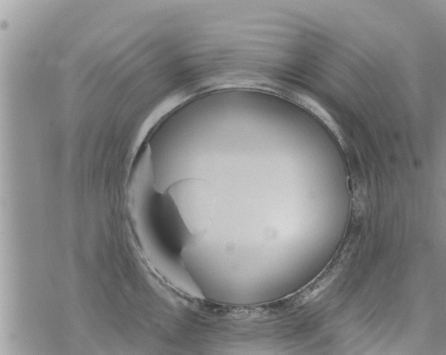 X0000073921146200609082231