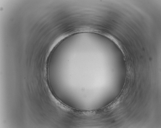 X0000073921147200609082231