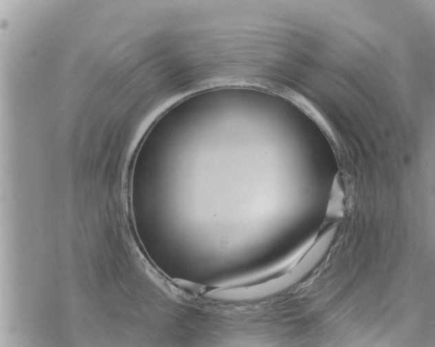 X0000073921148200609082231