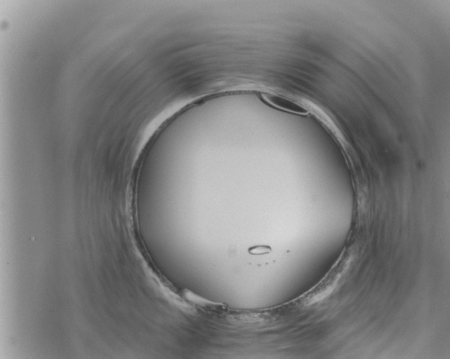 X0000073921149200609082231