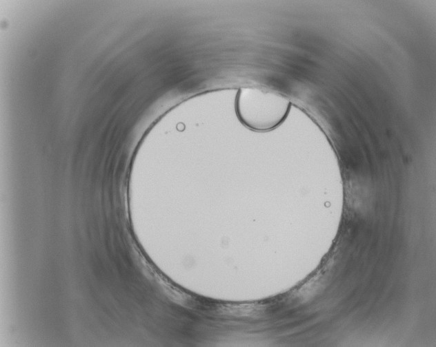 X0000073921150200609082231