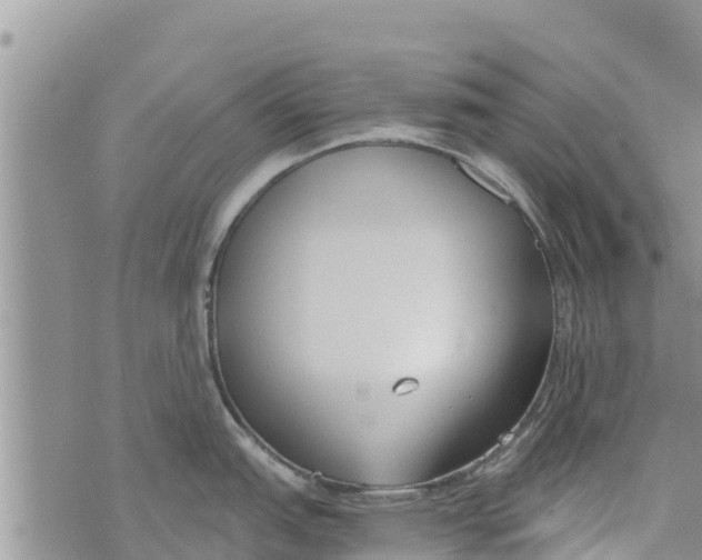 X0000073921151200609082231