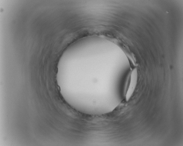 X0000073921153200609082231