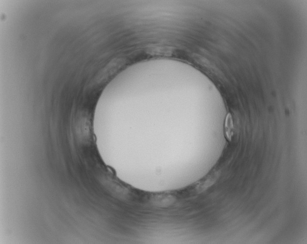 X0000073921154200609082231