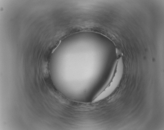 X0000073921156200609082231