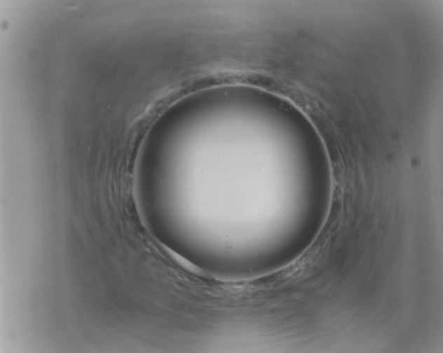 X0000073921157200609082231