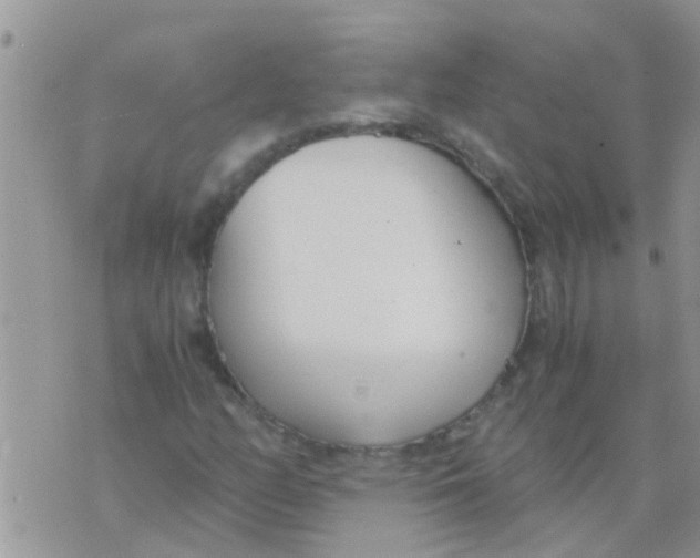 X0000073921158200609082231