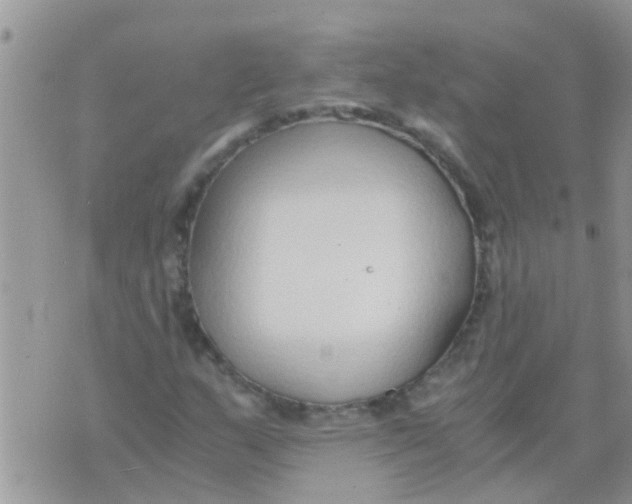 X0000073921159200609082231