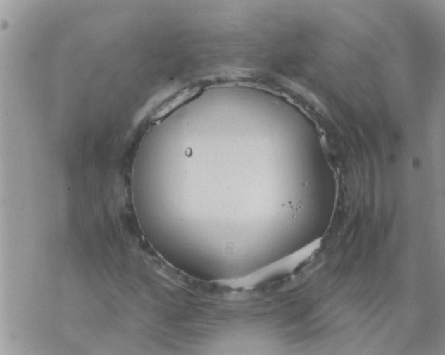 X0000073921160200609082230