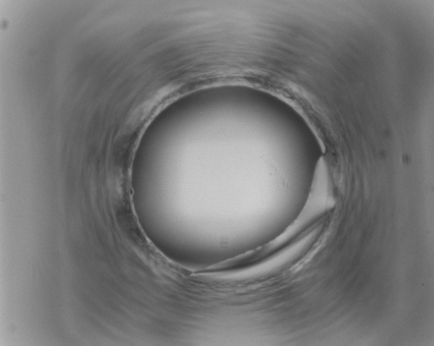 X0000073921161200609082230