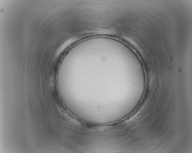 X0000073921163200609082230