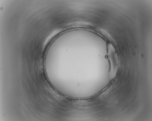 X0000073921164200609082230