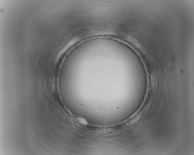 X0000073921165200609082230