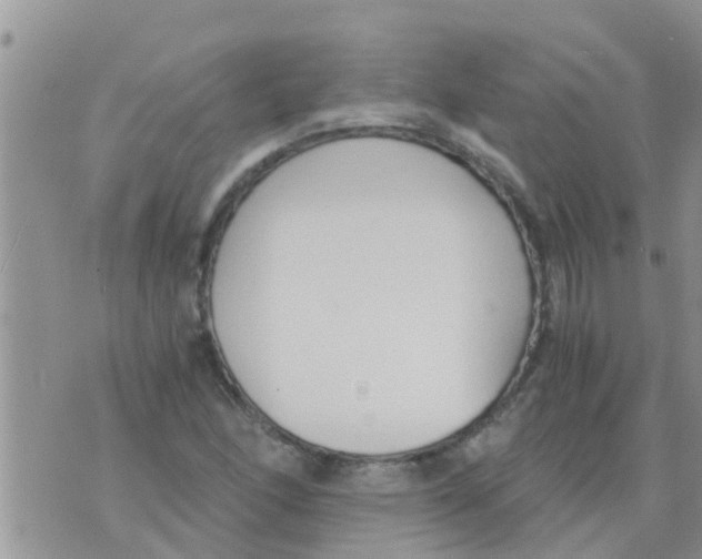 X0000073921166200609082230