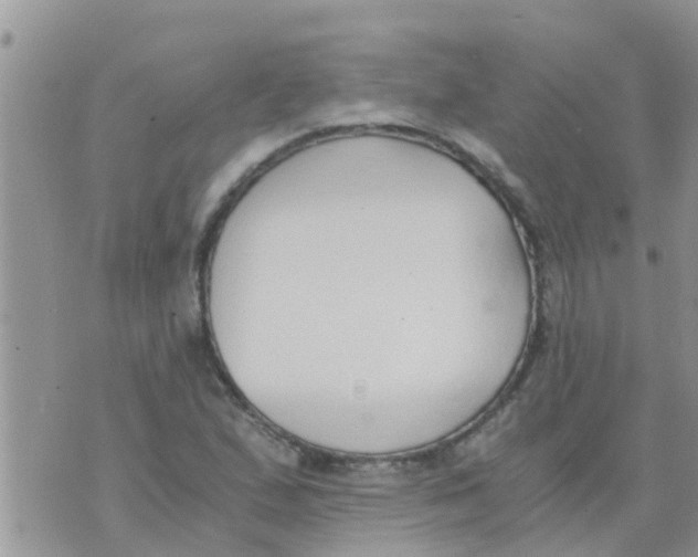 X0000073921167200609082230