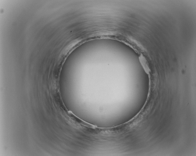 X0000073921169200609082230