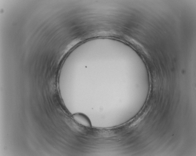 X0000073921170200609082230