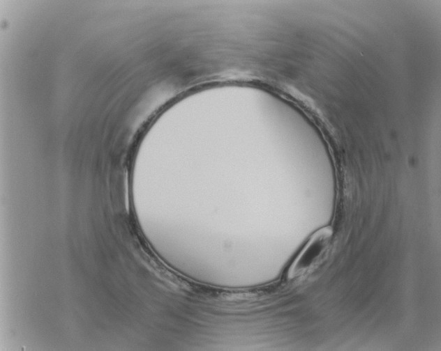 X0000073921171200609082230