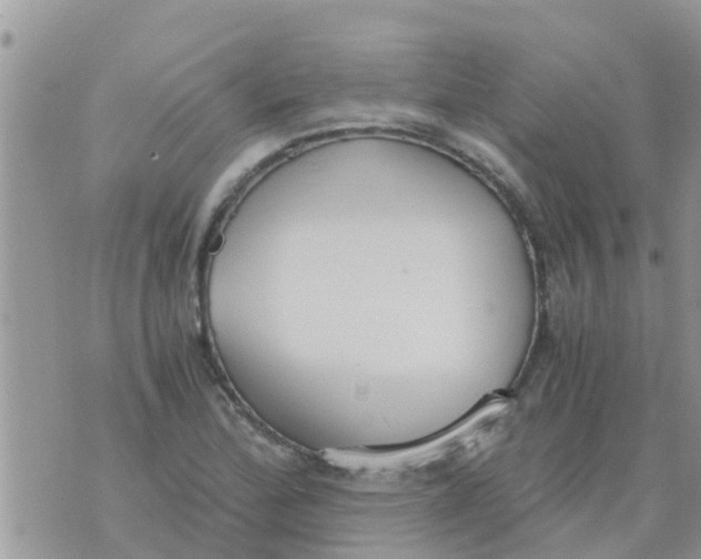 X0000073921172200609082230