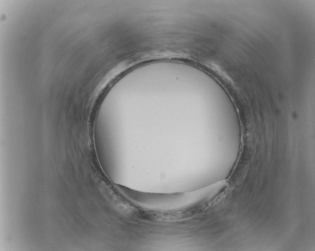 X0000073921173200609082230