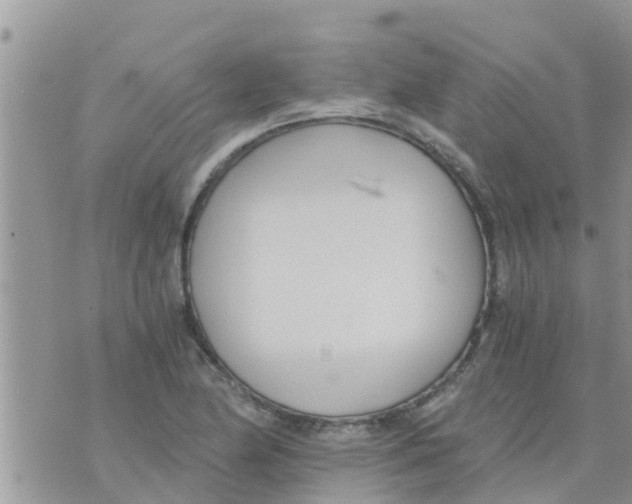 X0000073921174200609082230