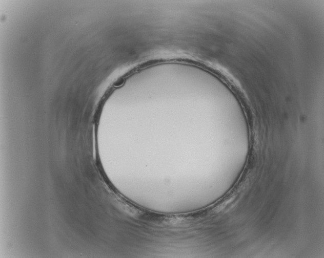 X0000073921175200609082230